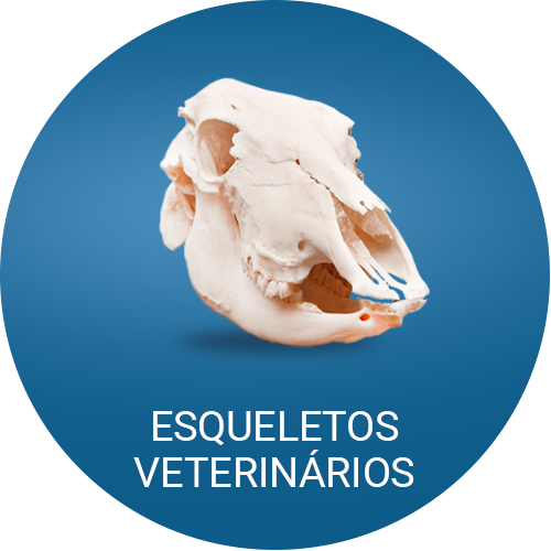 Esqueletos Veterinários