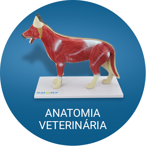 Anatomia Veterinária